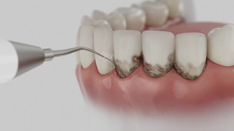 Reliable Dental contractor in Bloomingdale, IL by Dentist Open Now